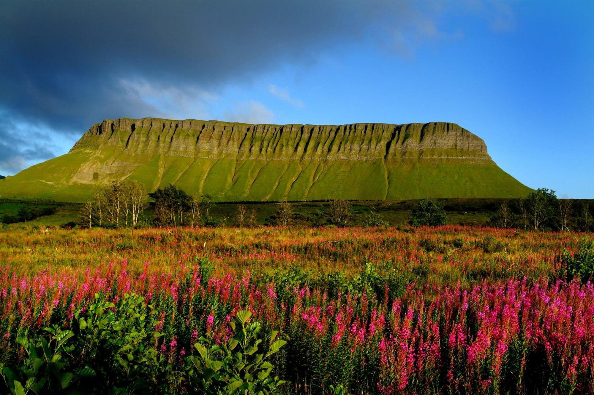 Central Townhouse Sligo